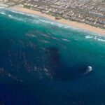 RE:BEACH Oceanside Reef